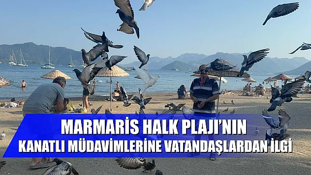 Marmaris Halk Plajı'nın kanatlı müdavimlerine vatandaşlardan ilgi