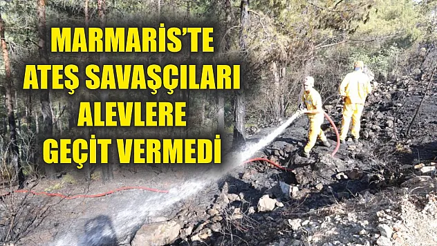 Marmaris'te ateş savaşçıları alevlere geçit vermedi