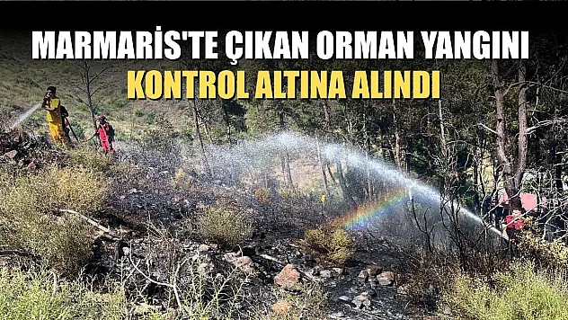Marmaris'te çıkan orman yangını kontrol altına alındı