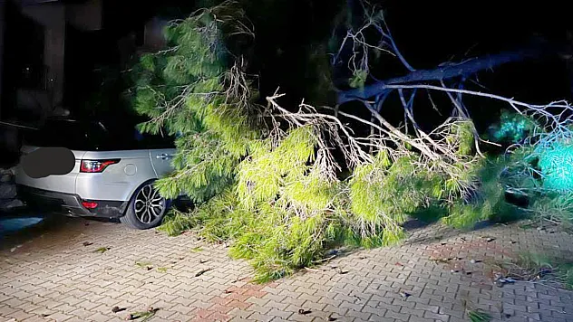 Marmaris'te fırtına ağaç devirdi: 1 kişi yaralandı