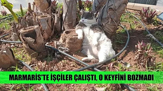 Marmaris'te işçiler çalıştı, o keyfini bozmadı