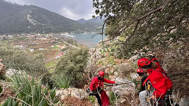 Marmaris'te kayalıklarda mahsur kalan köpek, keçi ve oğlak kurtarıldı
