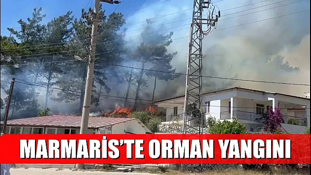 Marmaris'te orman yangını
