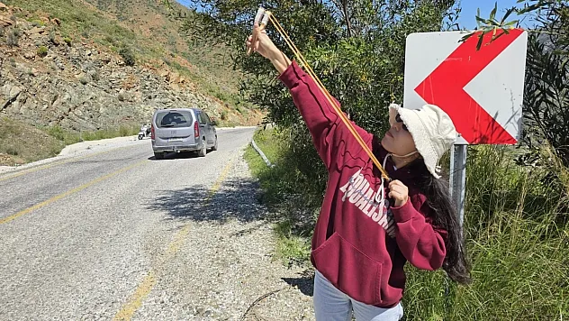 Marmaris'te sapanla tohum topu attılar