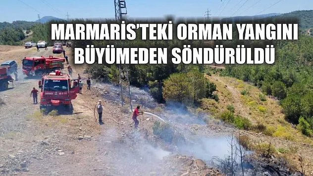Marmaris'teki orman yangını büyümeden söndürüldü