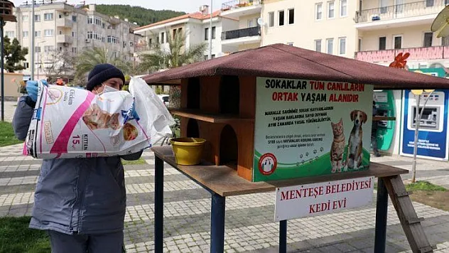 Menteşe'de 'Can Dostlara' mama takviyesi