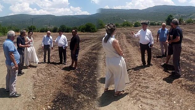 Menteşe'de 14 Ton Samanın Kül Olduğu Alanda İnceleme