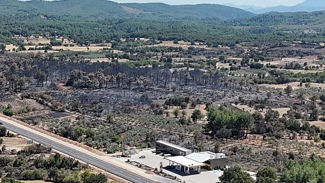 Menteşe'de alevler geride kara bir tablo bıraktı: 150 hektar zarar gördü