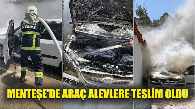 Menteşe'de Araç Alevlere Teslim Oldu