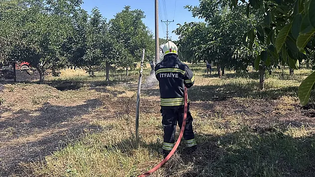 Menteşe'de arazi yangınları büyümeden söndürüldü