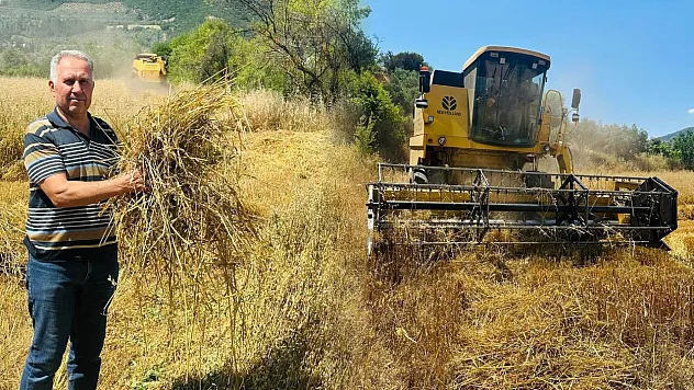 Menteşe'de biçerdöverlere sıkı denetim