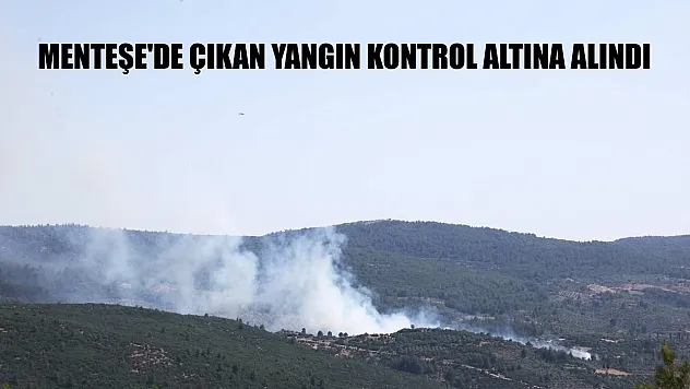 Menteşe'de çıkan yangın kontrol altına alındı