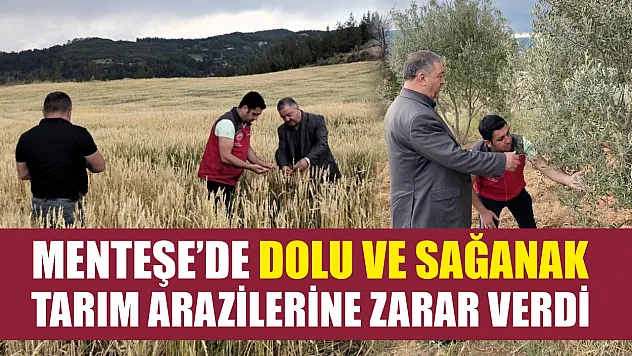 Menteşe'de dolu ve sağanak tarım arazilerine zarar verdi