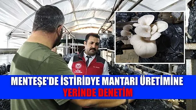 Menteşe'de istiridye mantarı üretimine yerinde denetim