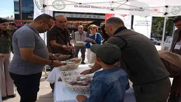 MENTEŞE'DE KEDİ VE KÖPEKLERE MAMA DAĞITILDI