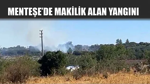 Menteşe'de makilik alan yangını