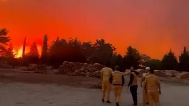 Menteşe'de orman yangını