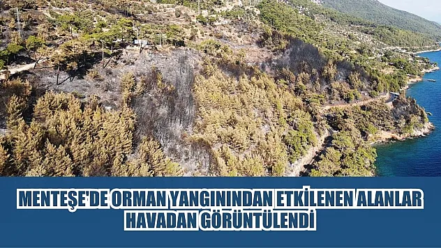 Menteşe'de orman yangınından etkilenen alanlar havadan görüntülendi