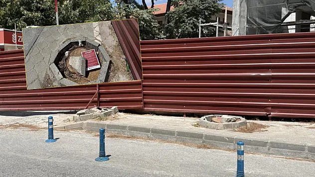Menteşe'de riskli ağaçlar için kesim ve budama çalışması