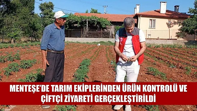 Menteşe'de tarım ekiplerinden ürün kontrolü ve çiftçi ziyareti gerçekleştirildi