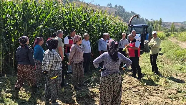 Menteşe'de üreticilere silajlık mısır eğitimi verildi