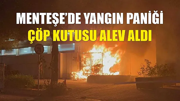 Menteşe'de yangın paniği: Çöp kutusu alev aldı