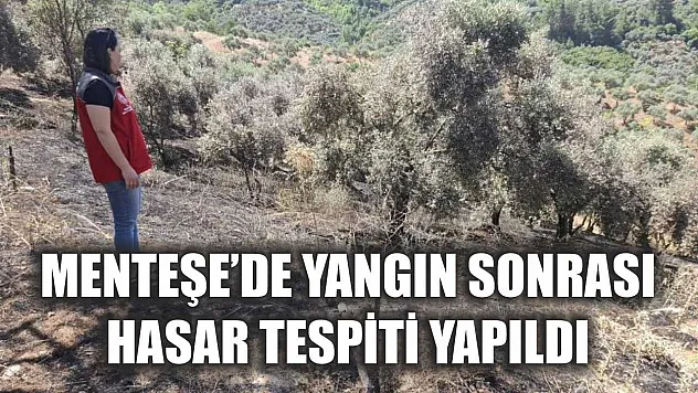 Menteşe'de yangın sonrası hasar tespiti yapıldı