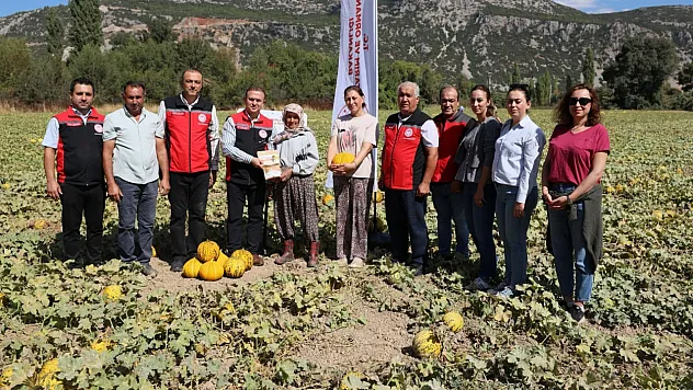 Menteşe'de yayla kavunu ve ata sebzelerinin hasadı yapıldı