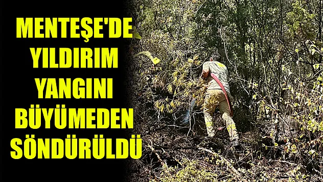 Menteşe'de yıldırım yangını büyümeden söndürüldü