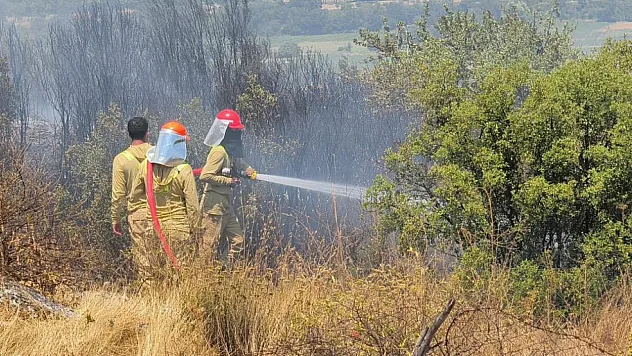 Menteşe'deki makilik yangını kontrol altına alındı