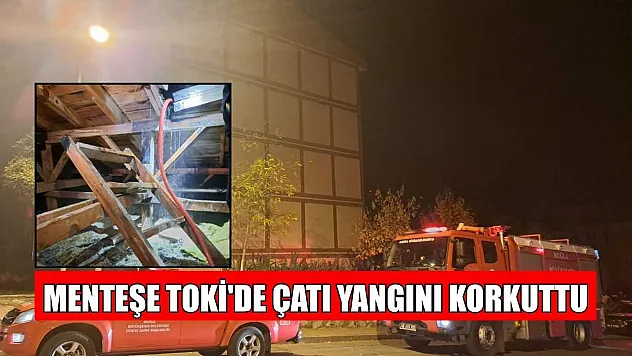 Menteşe TOKİ'de çatı yangını korkuttu