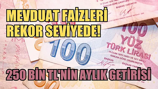 Mevduat faizleri rekor seviyede! 250 bin TL'nin aylık getirisi