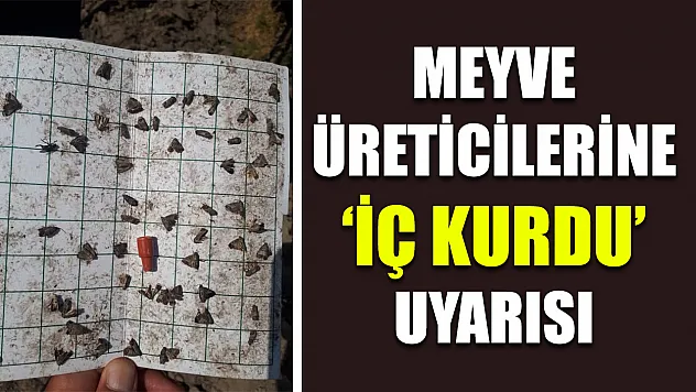 Meyve Üreticilerine 'İç Kurdu' Uyarısı