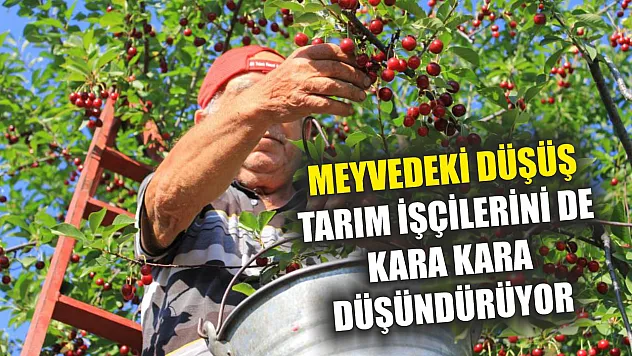Meyvedeki düşüş tarım işçilerini de kara kara düşündürüyor