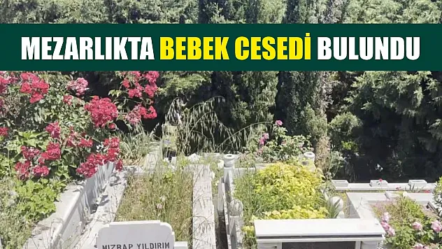 Mezarlıkta bebek cesedi bulundu