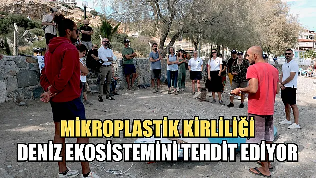 Mikroplastik kirliliği deniz ekosistemini tehdit ediyor