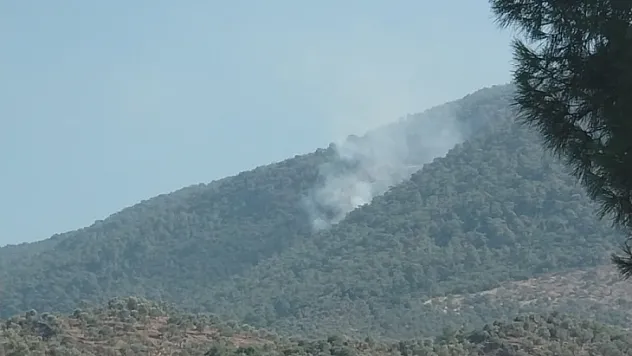 Milas Bafa'da Orman yangını