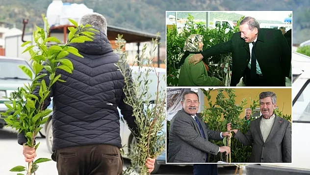 Milas Belediyesi Meyve Fidanlarını Üreticilerle Buluşturdu