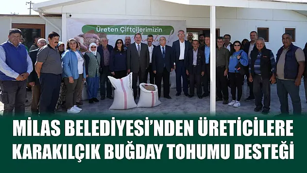 Milas Belediyesi'nden üreticilere karakılçık buğday tohumu desteği