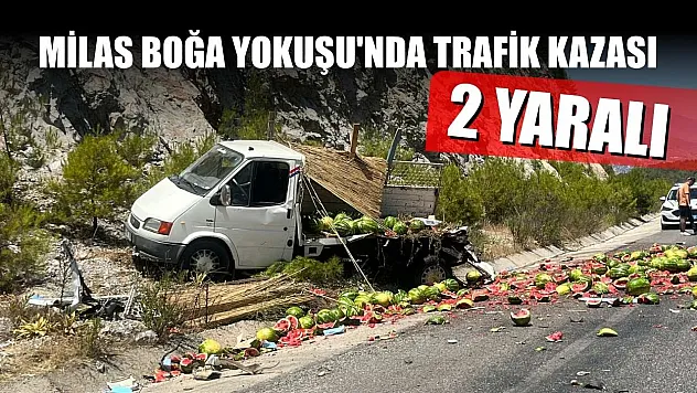 Milas Boğa Yokuşu'nda trafik kazası: 2 yaralı