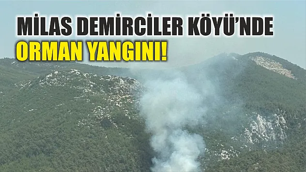 Milas Demirciler Köyü'nde orman yangını!