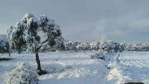 Milas'ın yüksek kesimleri beyaza büründü