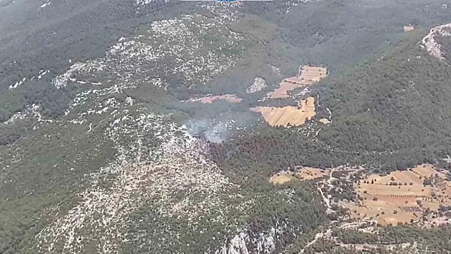 Milas orman yangını kısmen kontrol altında