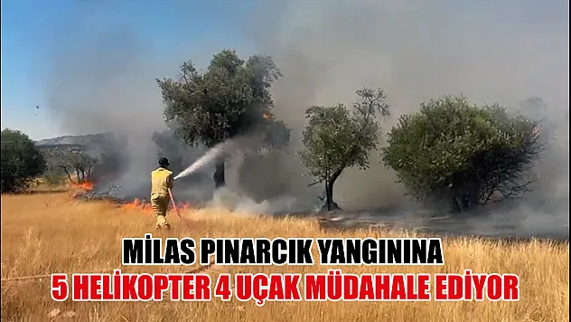 Milas Pınarcık yangınına 5 helikopter 4 uçak müdahale ediyor