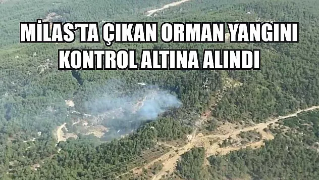 Milas'ta çıkan orman yangını kontrol altına alındı