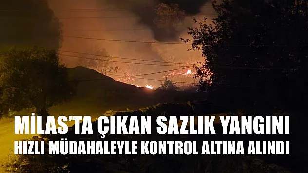Milas'ta çıkan sazlık yangını hızlı müdahaleyle kontrol altına alındı