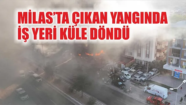 Milas'ta çıkan yangında iş yeri küle döndü