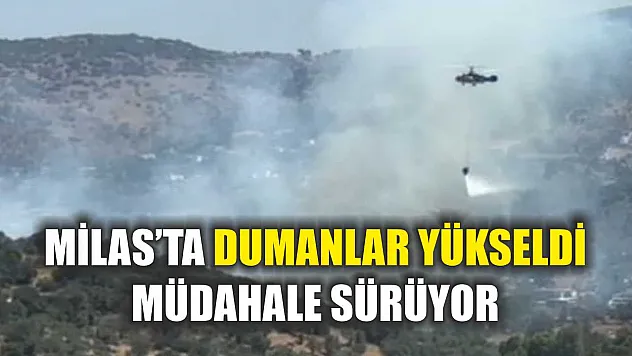 Milas'ta dumanlar yükseldi, müdahale sürüyor