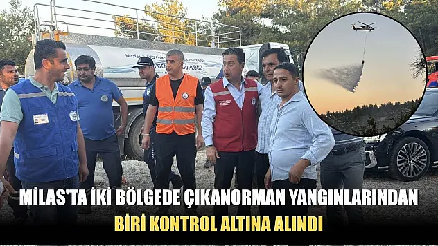 Milas'ta iki bölgede çıkan orman yangınlarından biri kontrol altına alındı