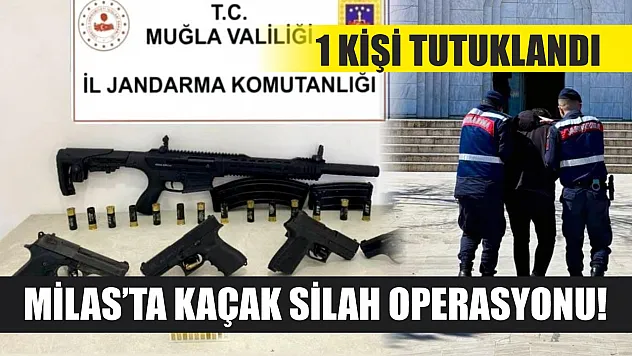 Milas'ta kaçak silah operasyonu! 1 kişi tutuklandı